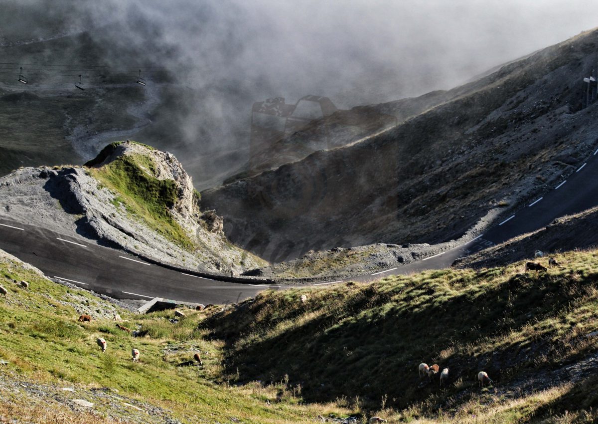Carretera niebla