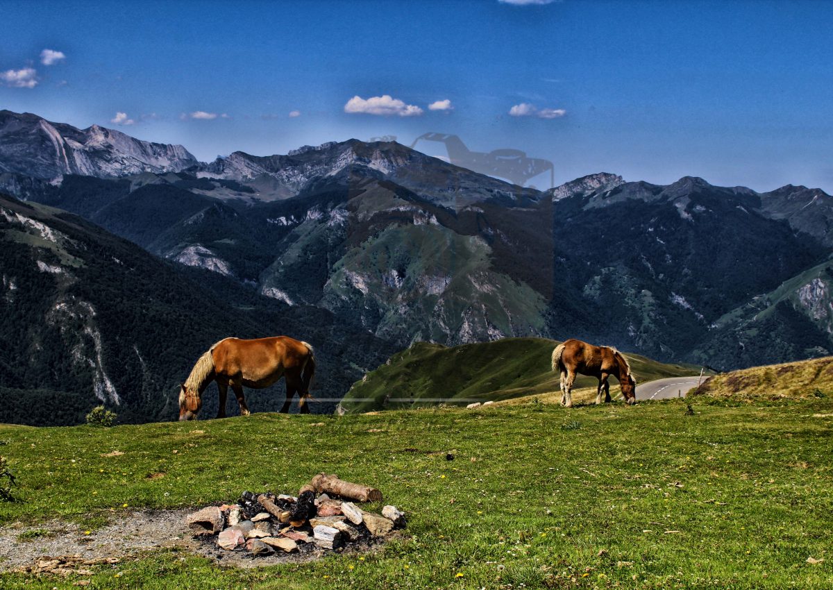 Horse Mountains