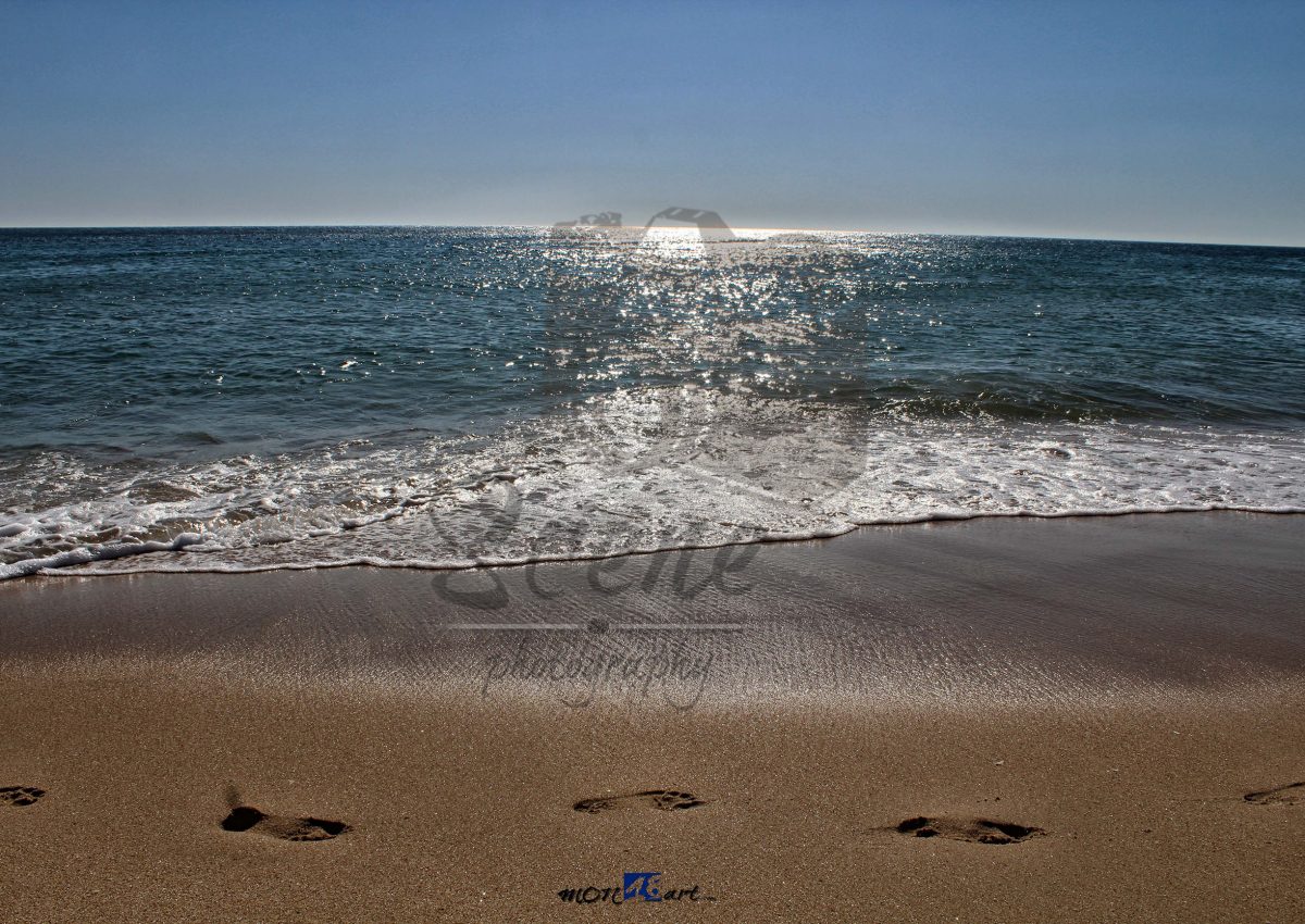 Playa huellas logo
