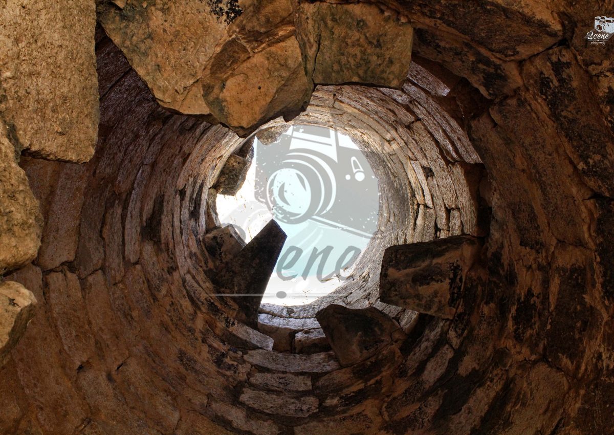 Torre interior logo